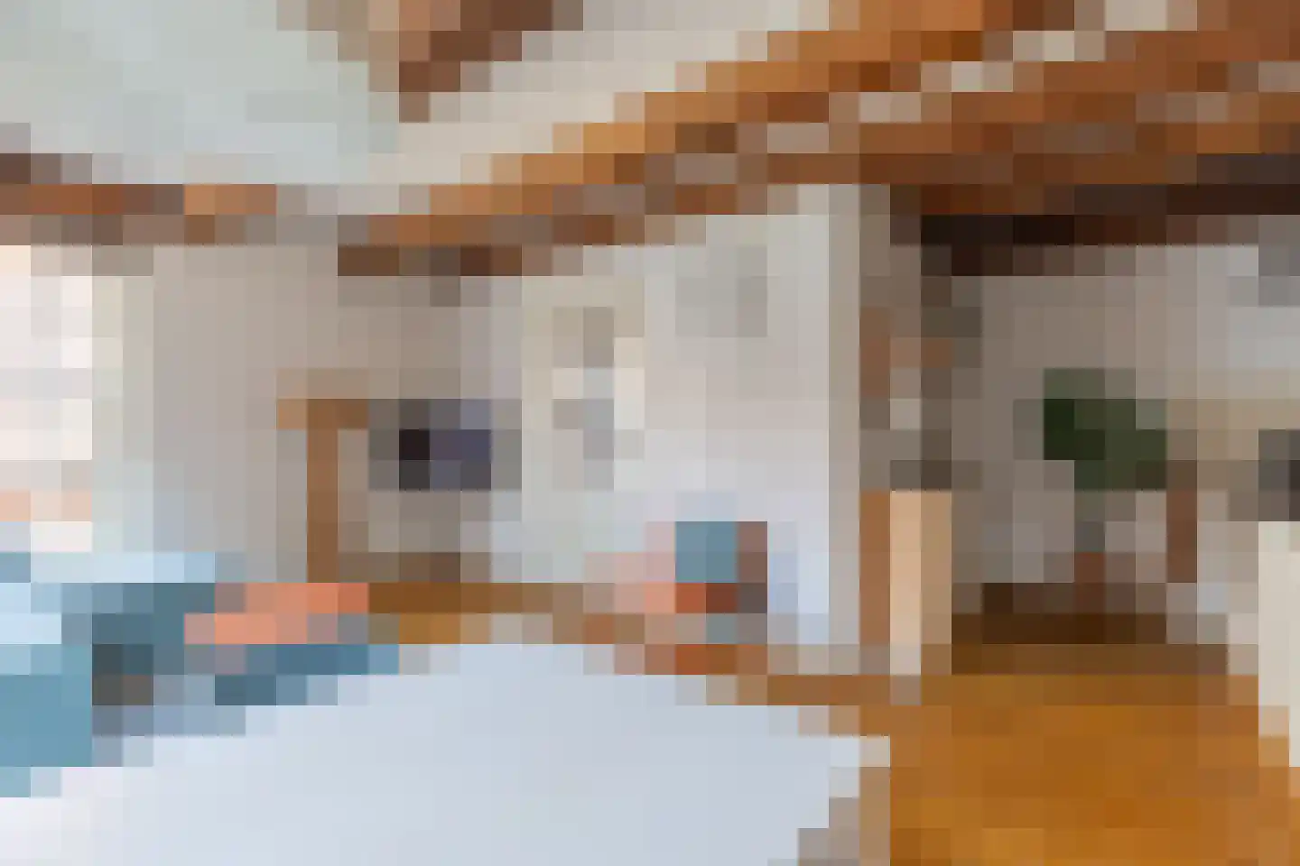 Kleine Glop 1 Alkmaar thumbnail 11