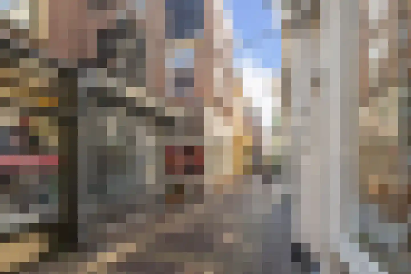 Kleine Glop 1 Alkmaar thumbnail 4