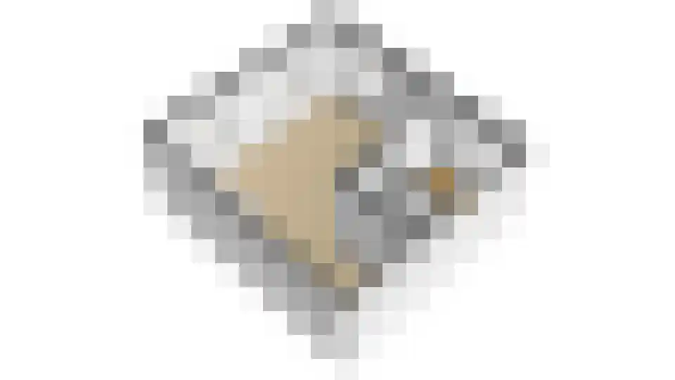 Kleine Glop 1 Alkmaar thumbnail 51