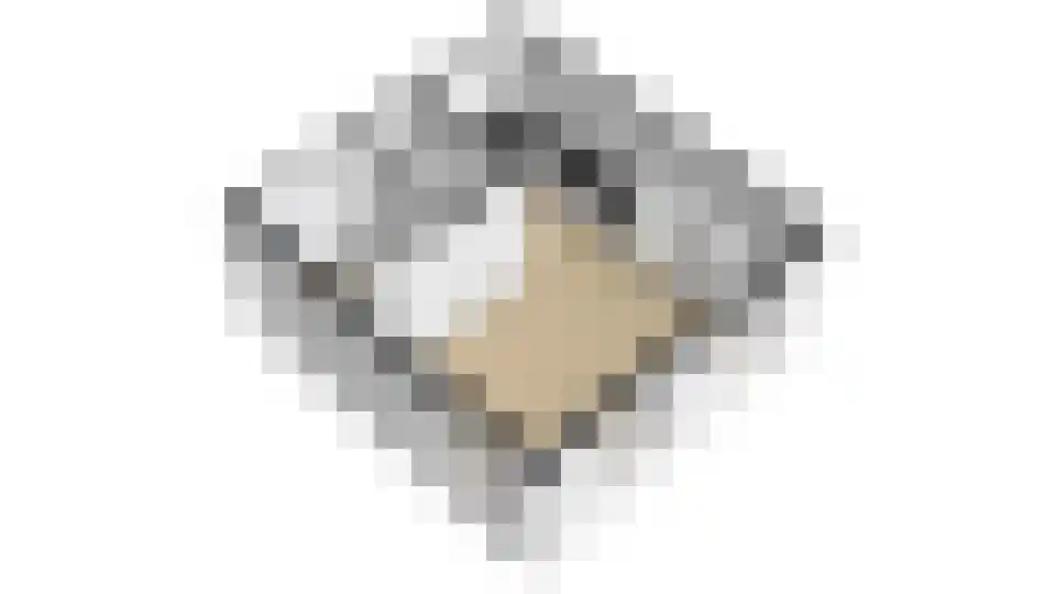 Kleine Glop 1 Alkmaar thumbnail 52