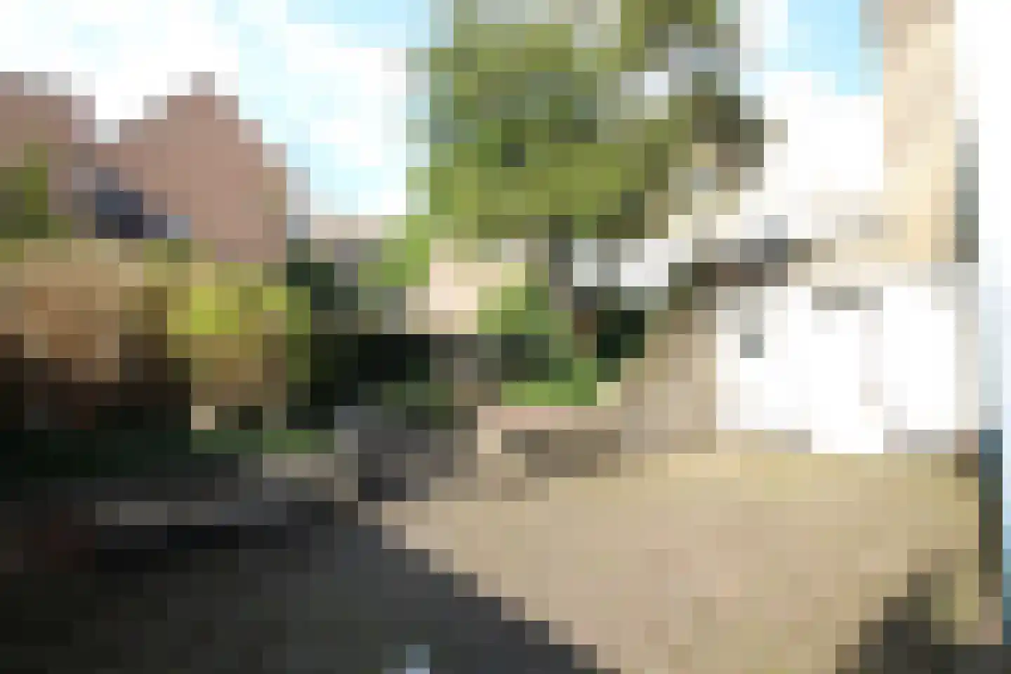 Kleine Gracht 32 A 01 Maastricht thumbnail 15