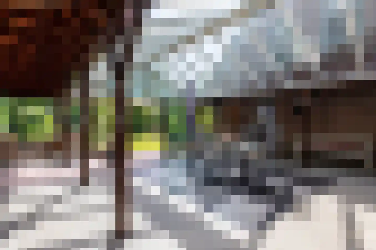 Kleine Gracht 4 Hattem thumbnail 28