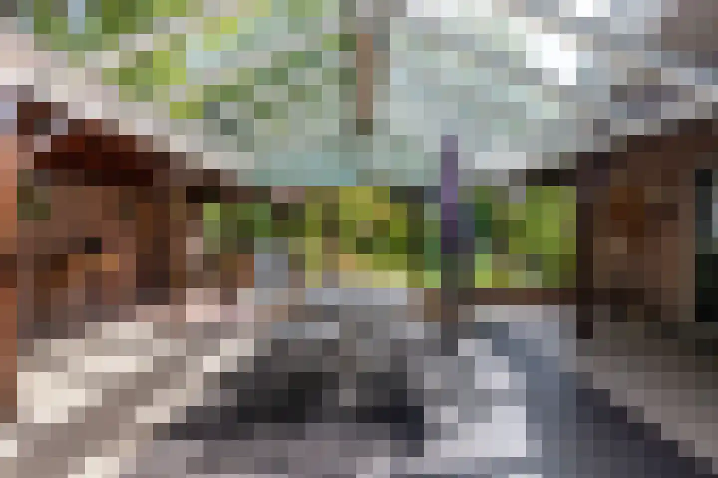 Kleine Gracht 4 Hattem thumbnail 29