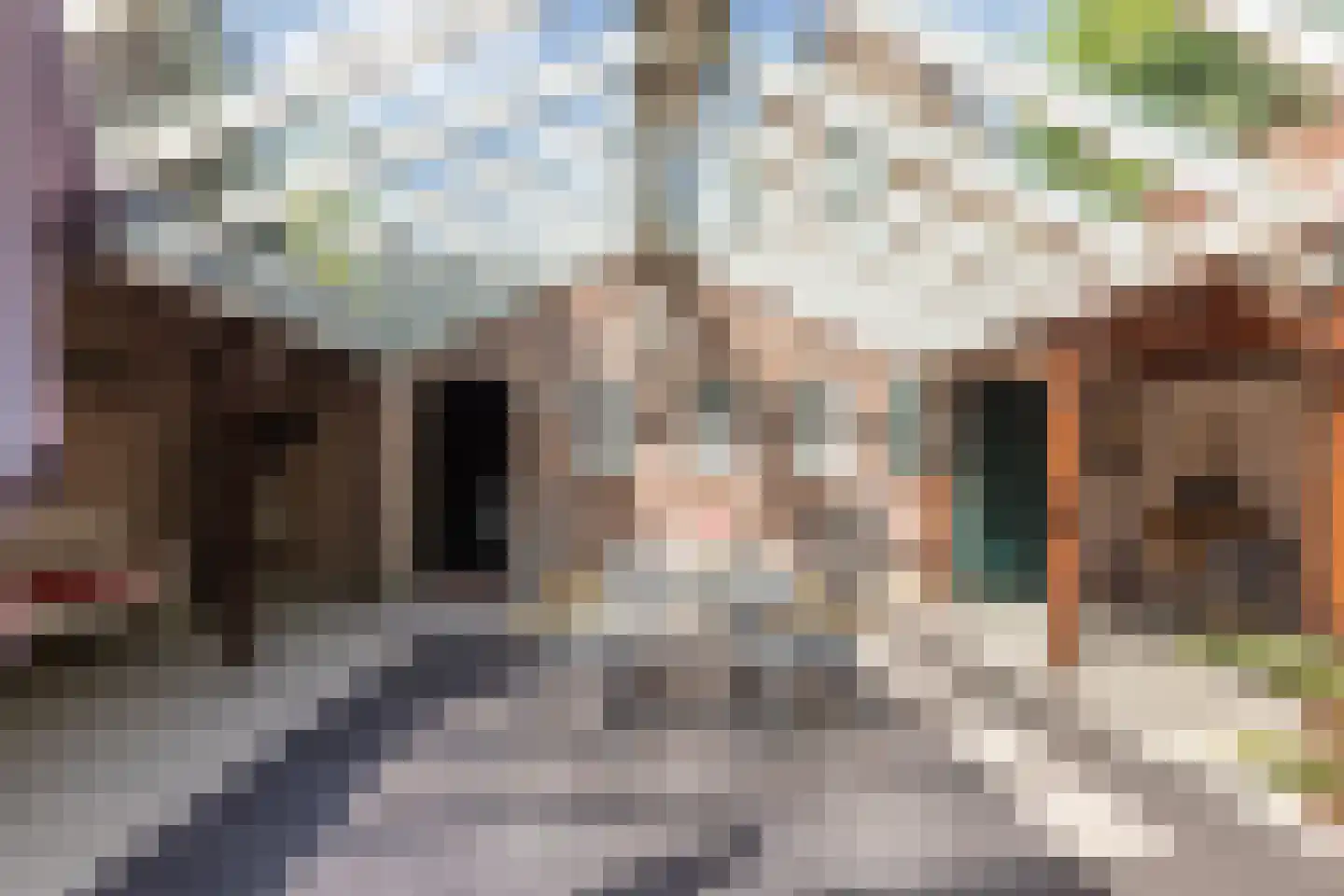 Kleine Gracht 4 Hattem thumbnail 31