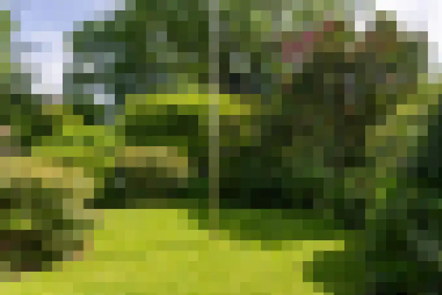 Kleine Gracht 4 Hattem thumbnail 40