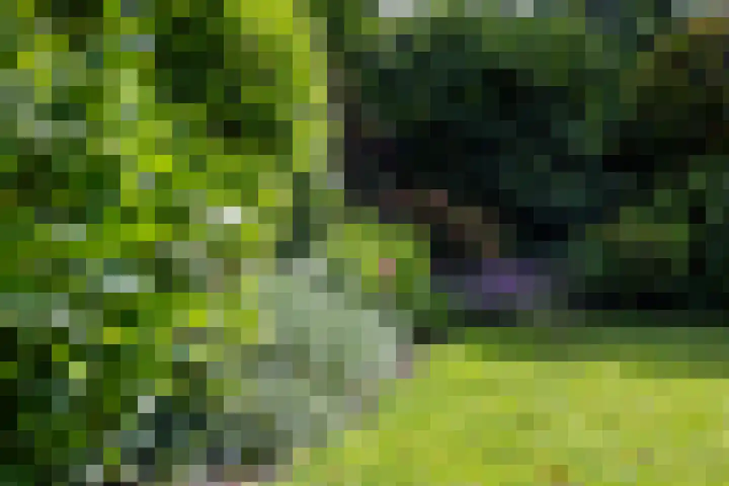 Kleine Gracht 4 Hattem thumbnail 41