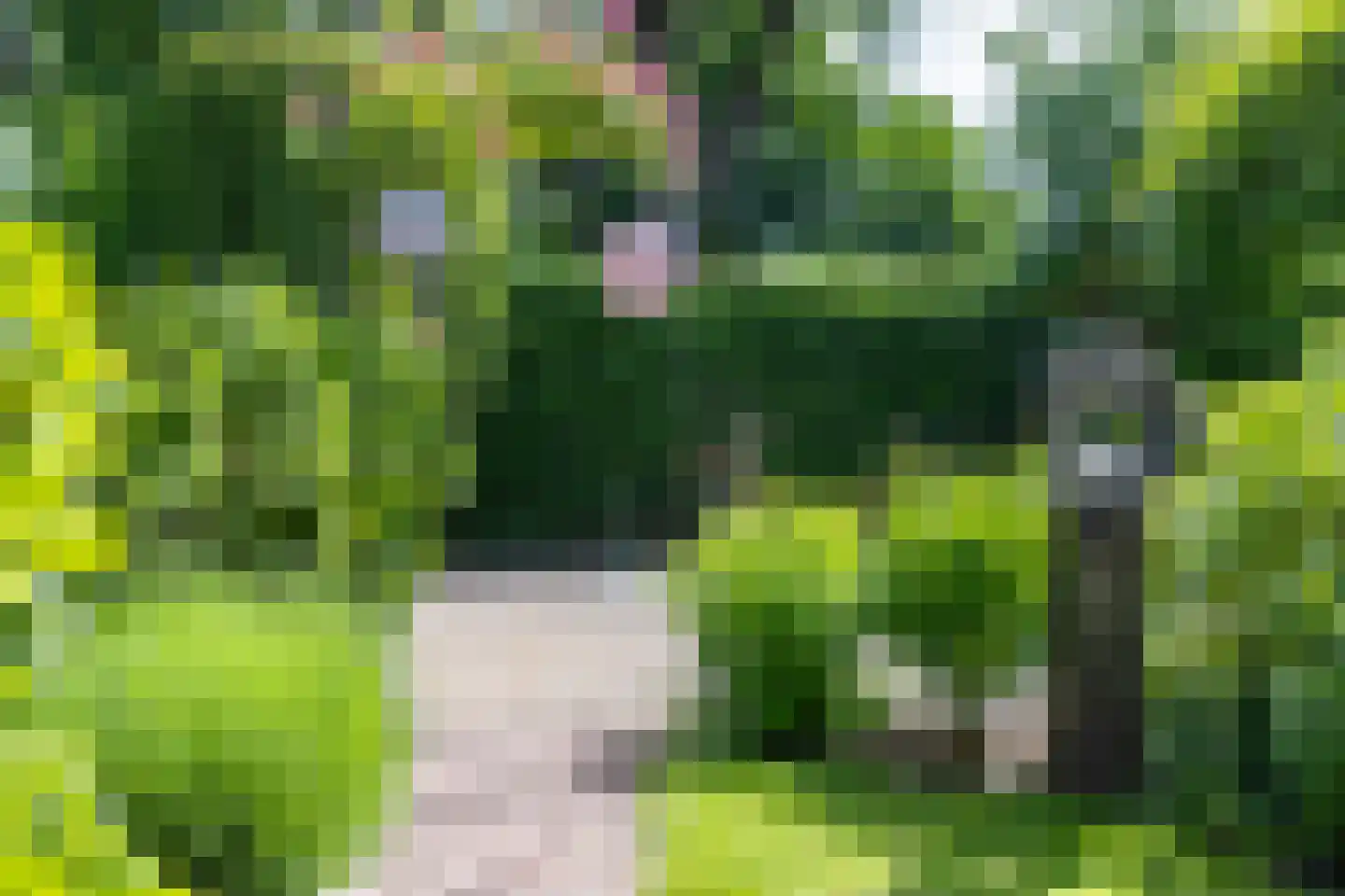 Kleine Gracht 4 Hattem thumbnail 42