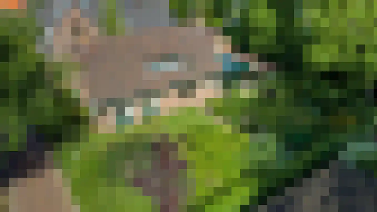 Kleine Gracht 4 Hattem thumbnail 45
