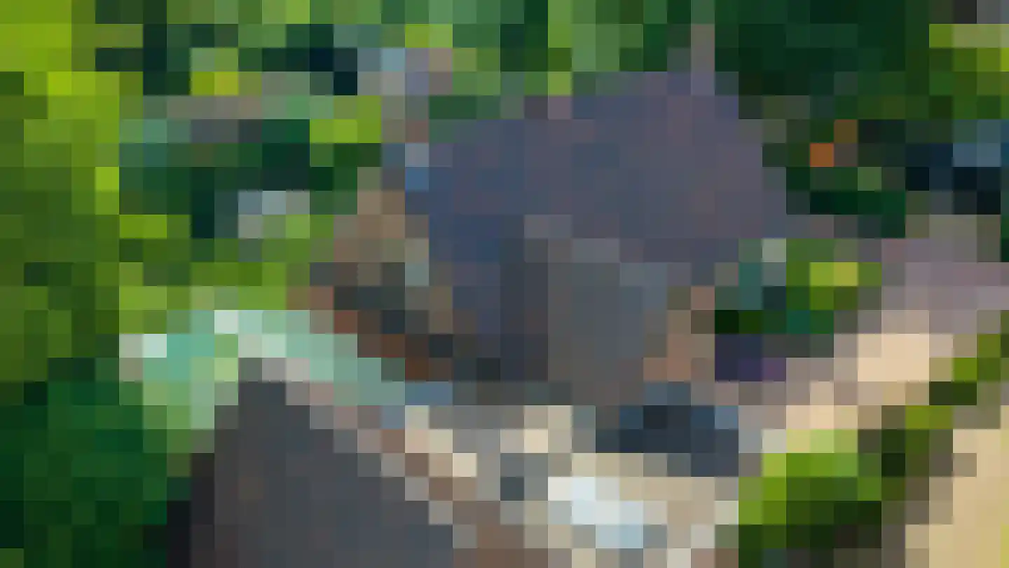 Kleine Gracht 4 Hattem thumbnail 51