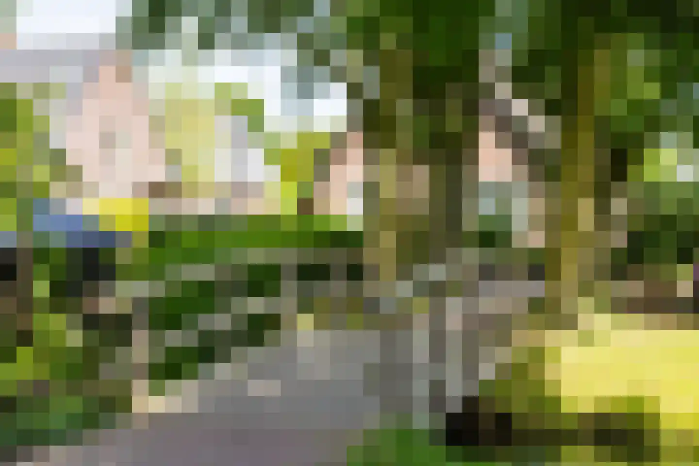 Kleine Gracht 4 Hattem thumbnail 52