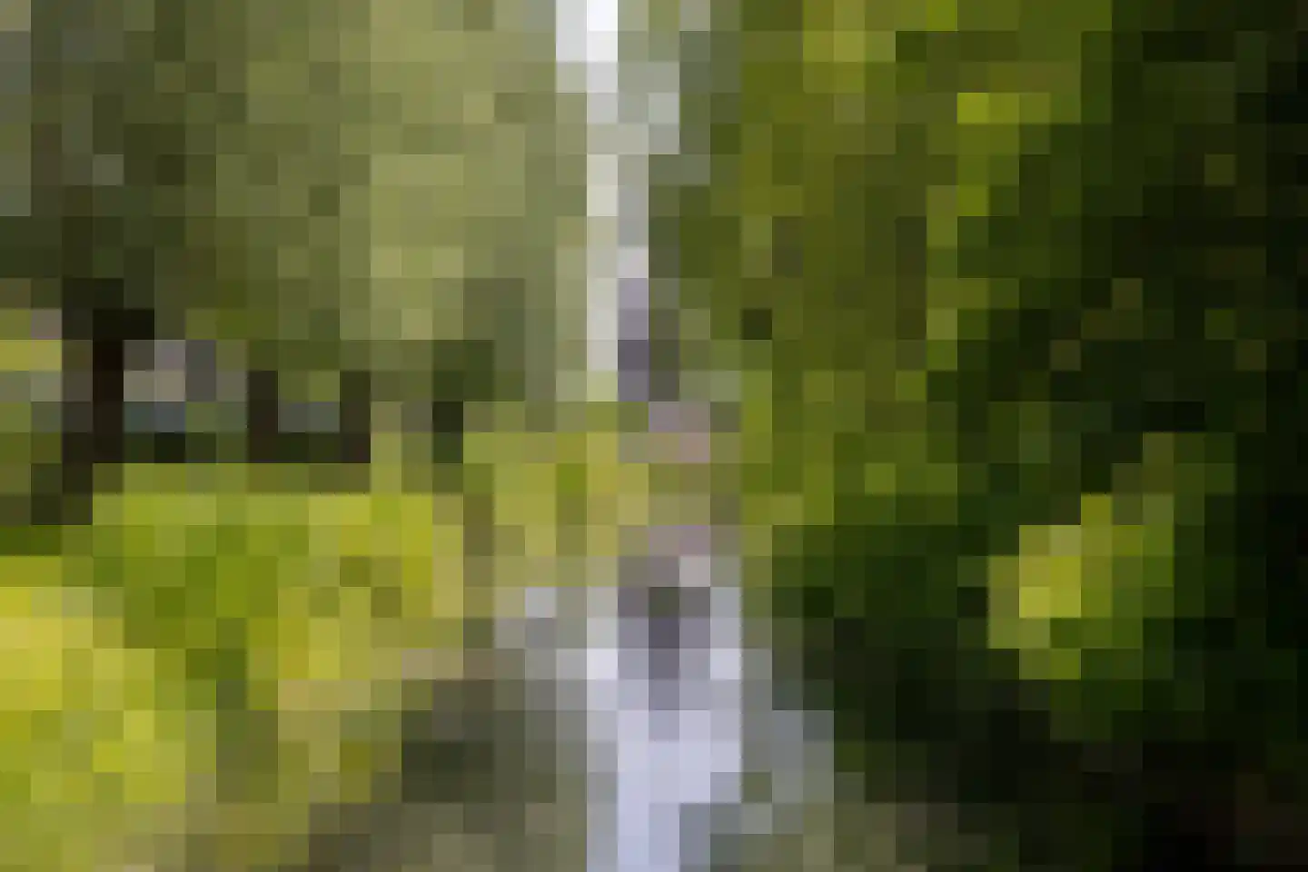 Kleine Gracht 4 Hattem thumbnail 53
