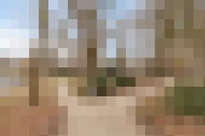 Kleine Gracht 9 Bredevoort thumbnail 30