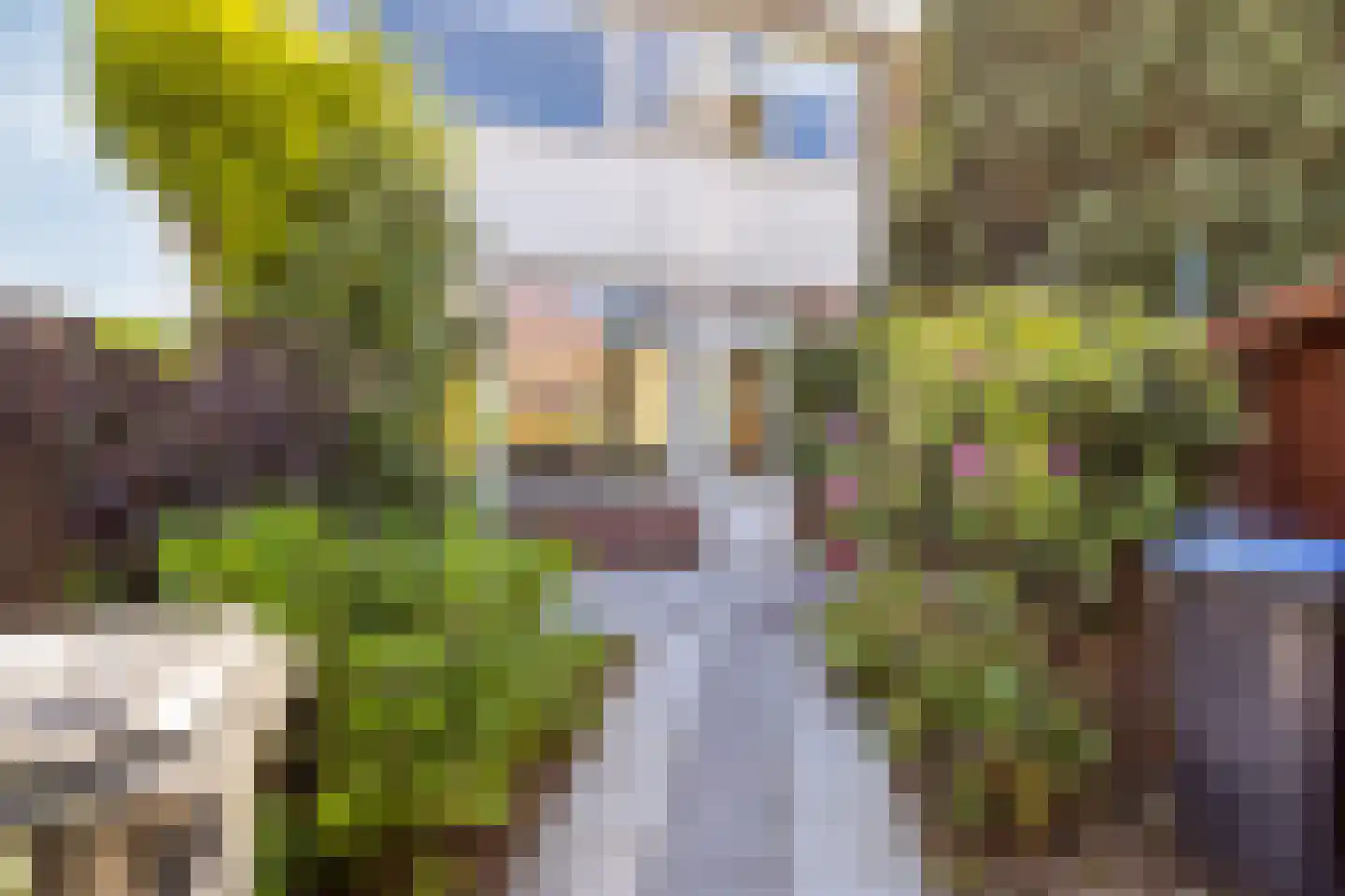 Kleine Haag 2 Bergen op Zoom thumbnail 27