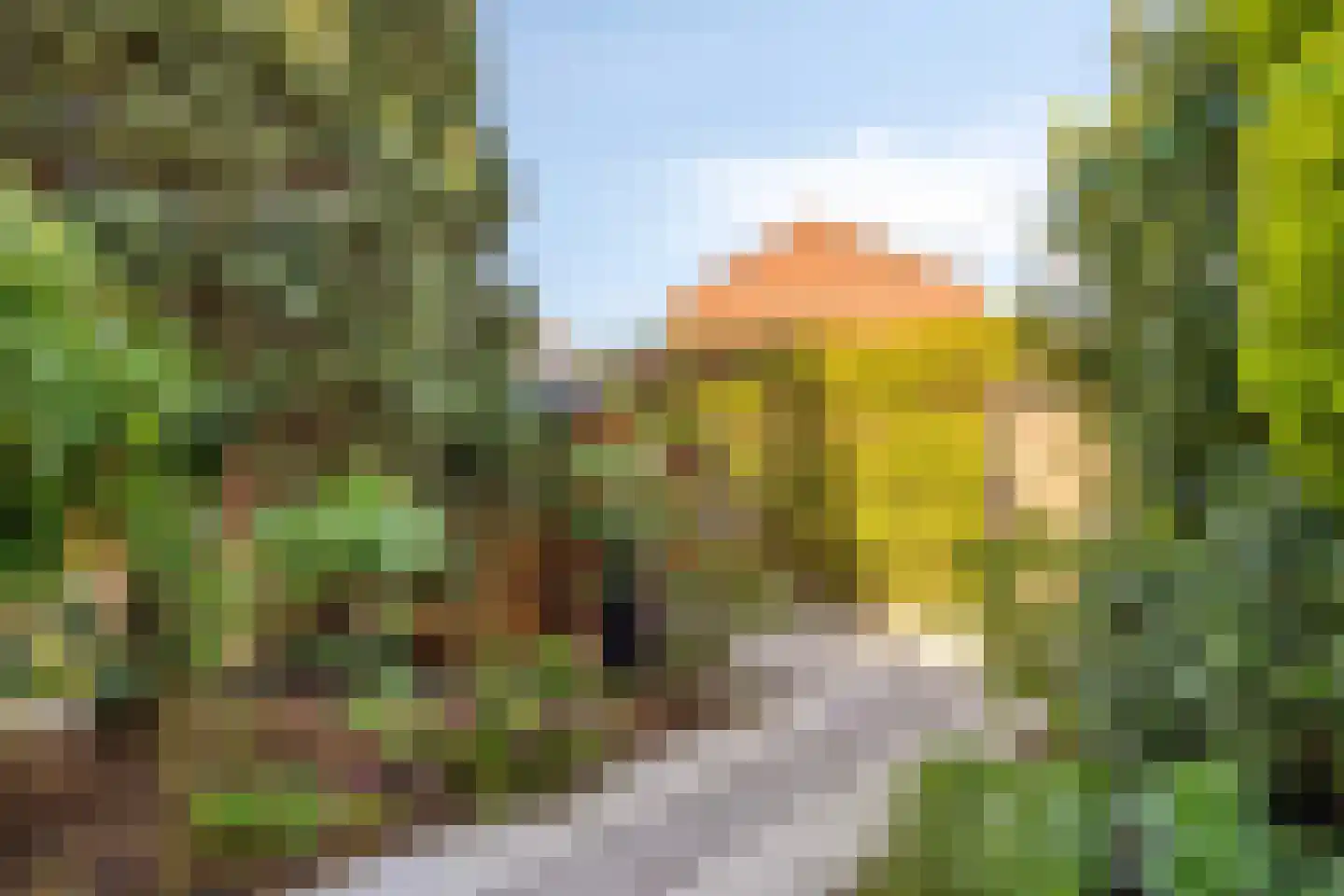 Kleine Haag 2 Bergen op Zoom thumbnail 28