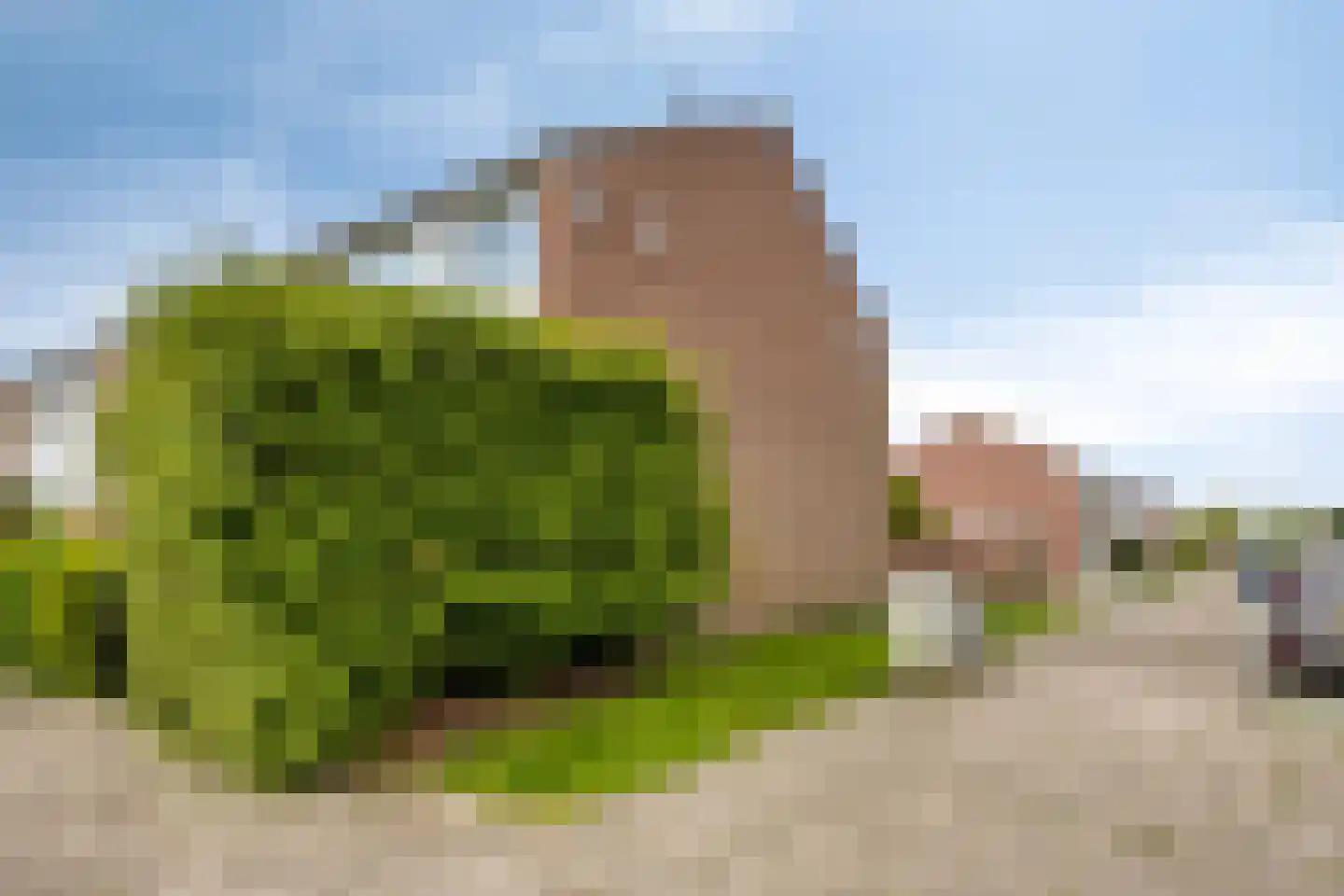 Kleine Haag 2 Bergen op Zoom thumbnail 30