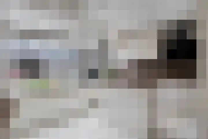 Kleine Haag 9 Bergen op Zoom thumbnail 10
