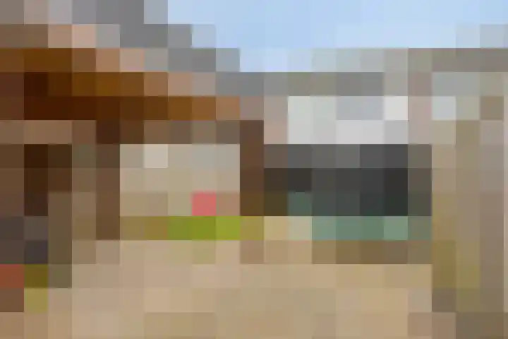 Kleine Haag 9 Bergen op Zoom thumbnail 23