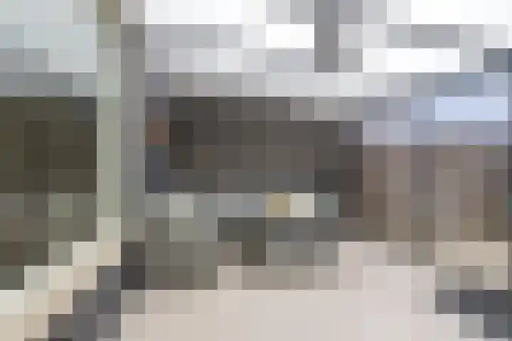 Kleine Haag 9 Bergen op Zoom thumbnail 4
