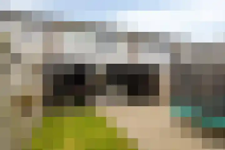 Kleine Haag 9 Bergen op Zoom thumbnail 5