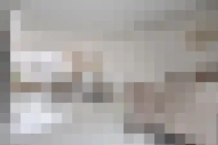 Kleine Haag 9 Bergen op Zoom thumbnail 8