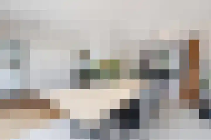Kleine Haan 43 Teteringen thumbnail 12