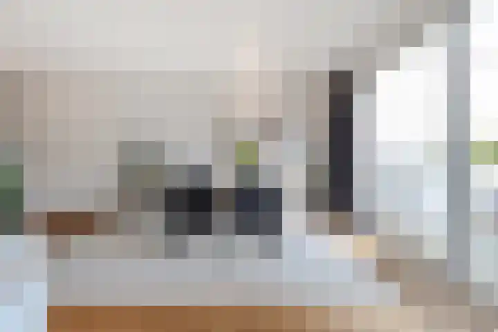 Kleine Haan 43 Teteringen thumbnail 15