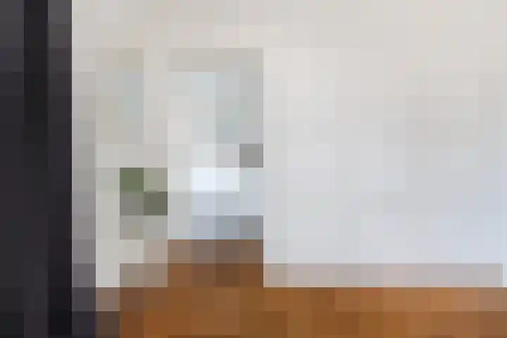 Kleine Haan 43 Teteringen thumbnail 16