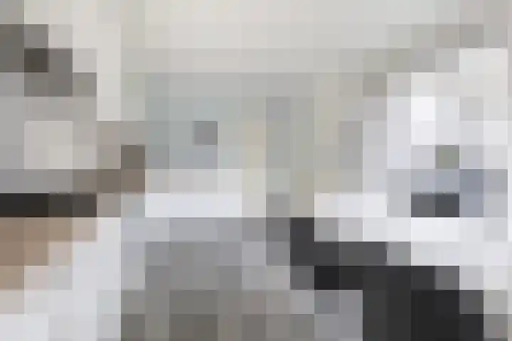 Kleine Haan 43 Teteringen thumbnail 18