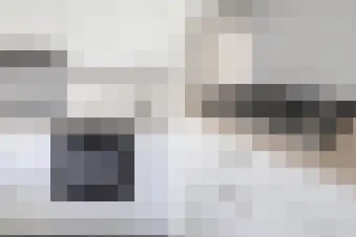 Kleine Haan 43 Teteringen thumbnail 19