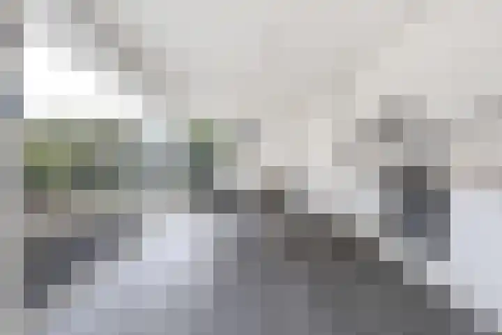 Kleine Haan 43 Teteringen thumbnail 20