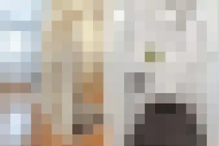 Kleine Haan 43 Teteringen thumbnail 21