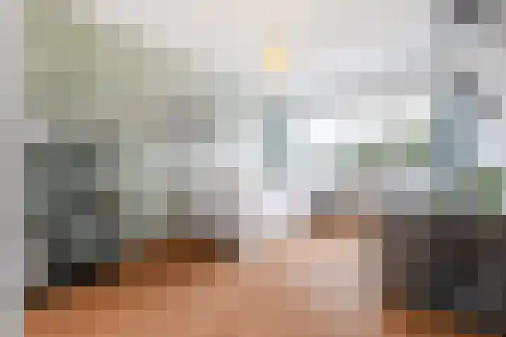 Kleine Haan 43 Teteringen thumbnail 25