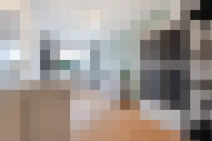 Kleine Haan 43 Teteringen thumbnail 30