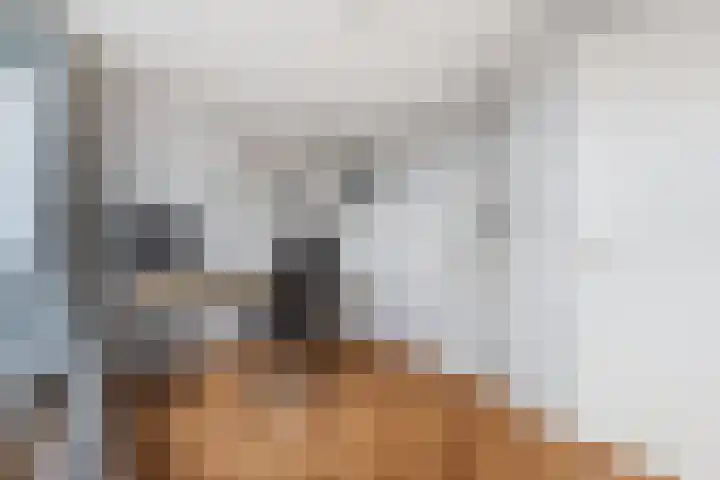 Kleine Haan 43 Teteringen thumbnail 32