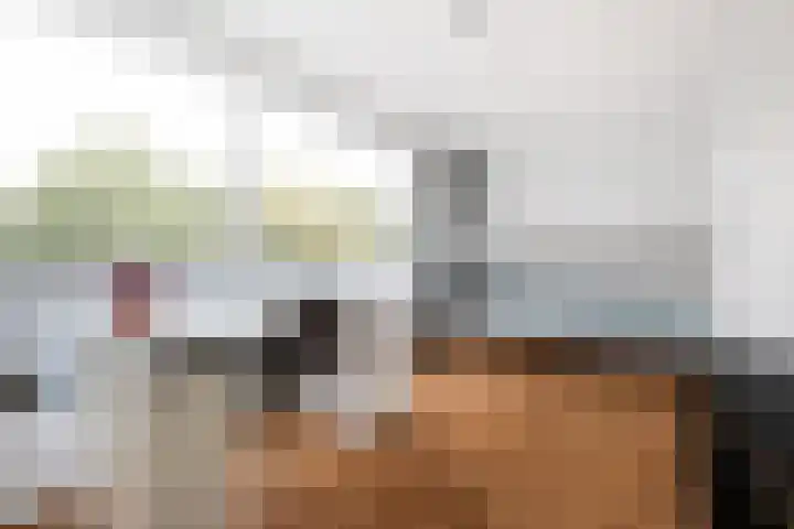 Kleine Haan 43 Teteringen thumbnail 36