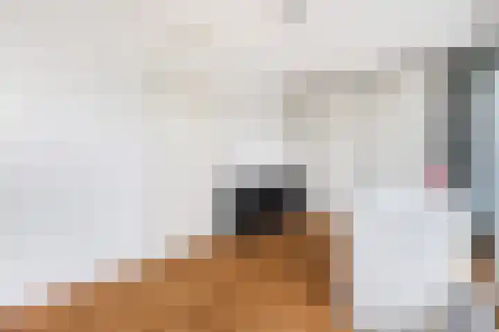 Kleine Haan 43 Teteringen thumbnail 38