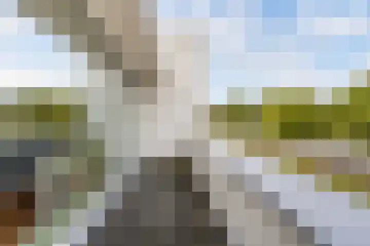 Kleine Haan 43 Teteringen thumbnail 39