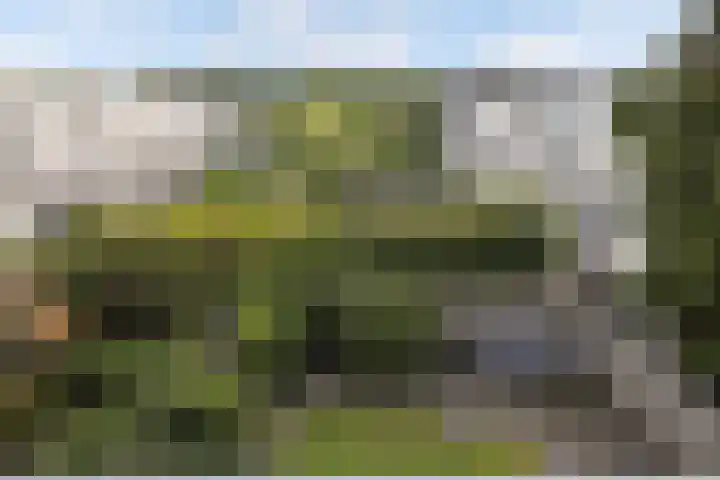 Kleine Haan 43 Teteringen thumbnail 42