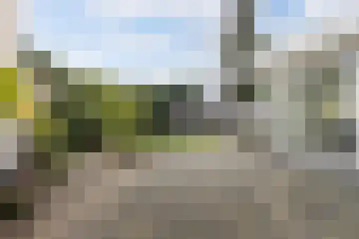 Kleine Haan 43 Teteringen thumbnail 43