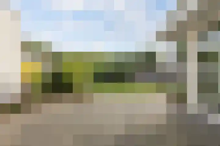 Kleine Haan 43 Teteringen thumbnail 44