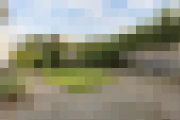 Kleine Haan 43 Teteringen thumbnail 45