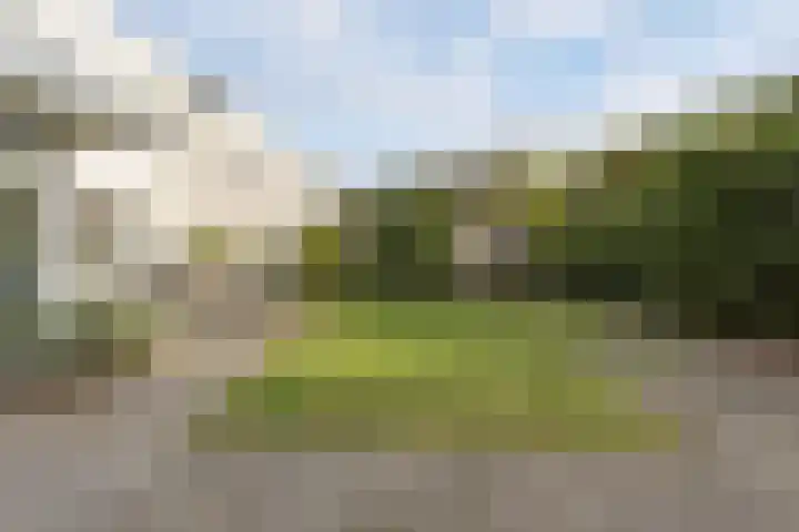 Kleine Haan 43 Teteringen thumbnail 46