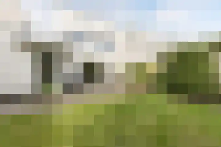 Kleine Haan 43 Teteringen thumbnail 47