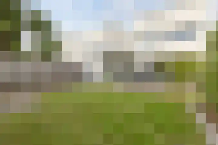 Kleine Haan 43 Teteringen thumbnail 48