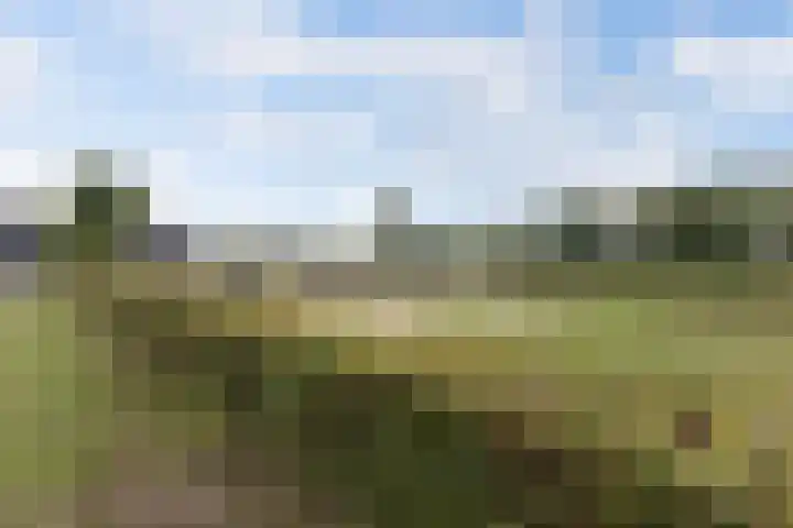 Kleine Haan 43 Teteringen thumbnail 49