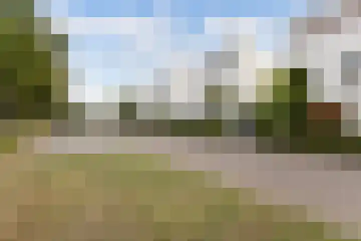 Kleine Haan 43 Teteringen thumbnail 6