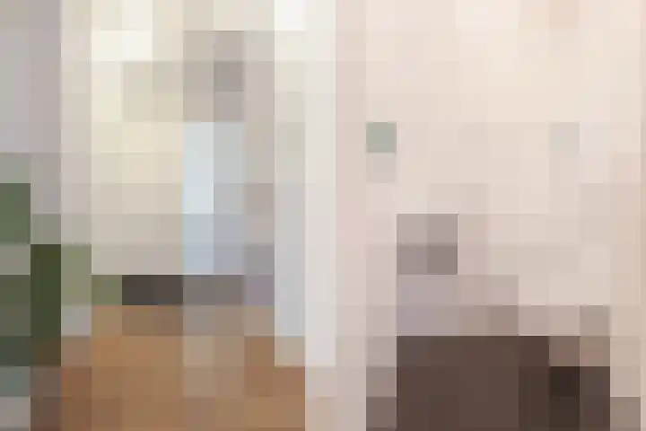 Kleine Haan 43 Teteringen thumbnail 8