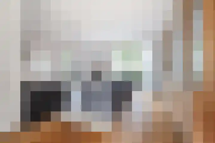 Kleine Haan 43 Teteringen thumbnail 9