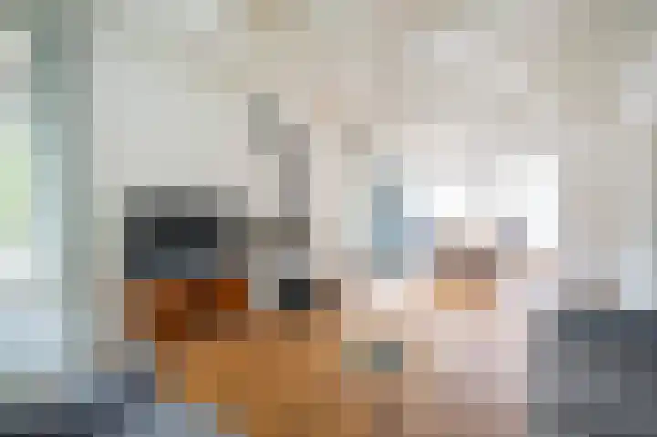 Kleine Haarsekade 22 Gorinchem thumbnail 10