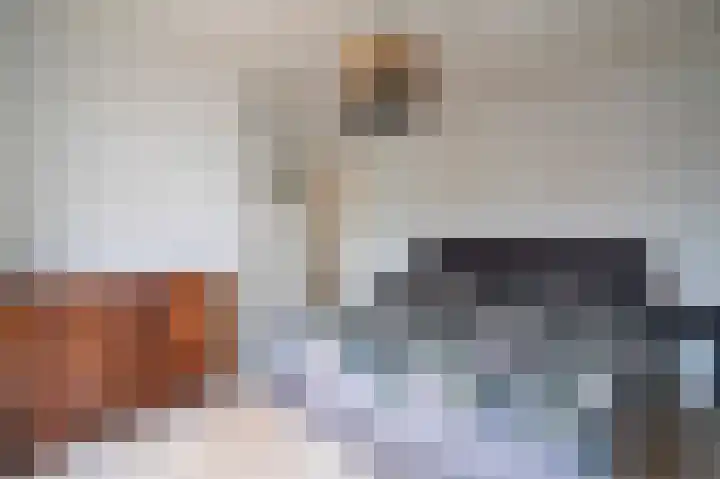 Kleine Haarsekade 22 Gorinchem thumbnail 19